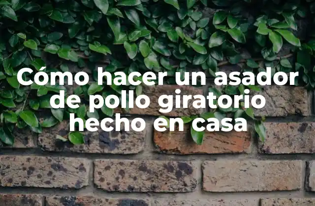 Cómo Hacer un Asador de Pollo Giratorio Hecho en Casa