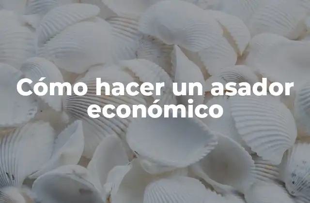 Cómo Hacer un Asador Económico
