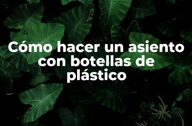 Cómo Hacer un Asiento con Botellas de Plástico 2 Cómo hacer un asiento con botellas de plástico