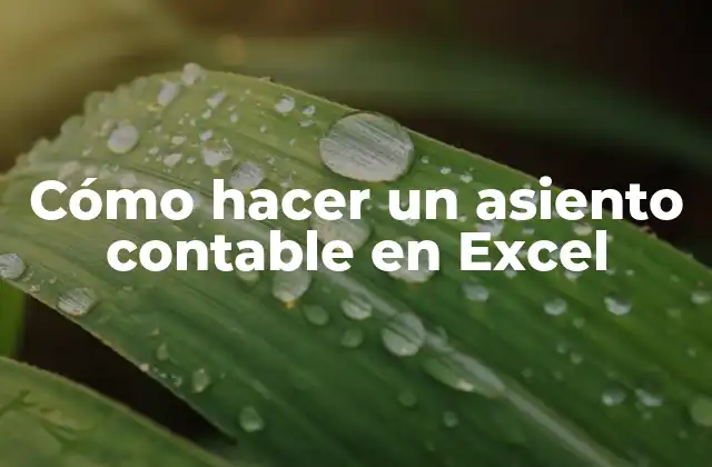 Cómo Hacer un Asiento Contable en Excel 2 ¿Qué es un asiento contable en Excel?