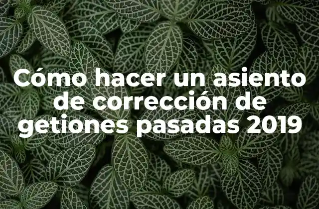 Cómo Hacer un Asiento de Corrección de Getiones Pasadas 2019