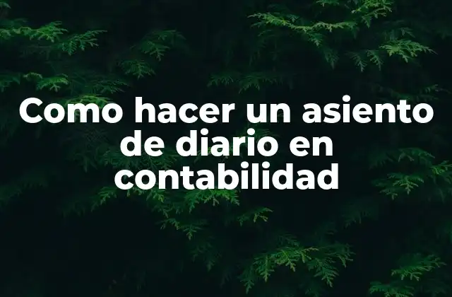 Como Hacer un Asiento de Diario en Contabilidad