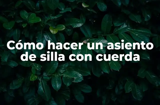 Cómo Hacer un Asiento de Silla con Cuerda