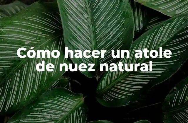 Cómo Hacer un Atole de Nuez Natural