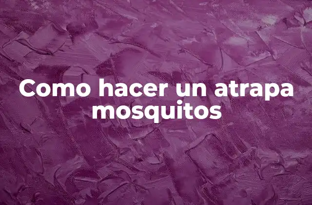 Como Hacer un Atrapa Mosquitos