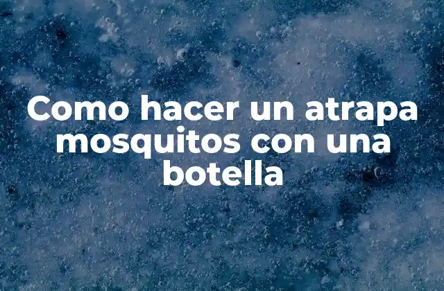 Como Hacer un Atrapa Mosquitos con una Botella