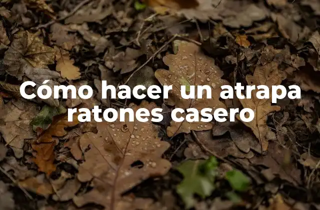 Cómo Hacer un Atrapa Ratones Casero