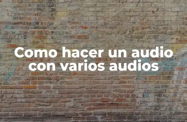 Como Hacer un Audio con Varios Audios