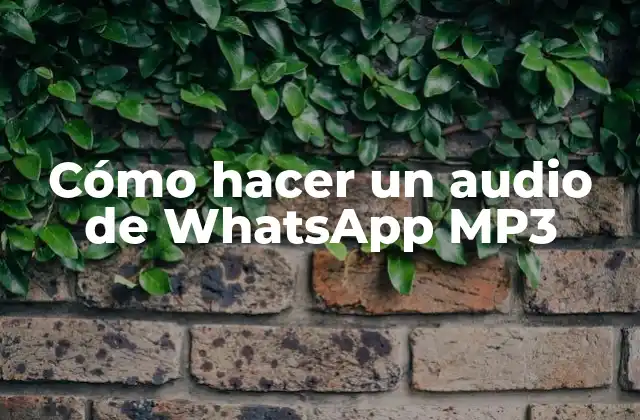 ¿Qué es un archivo de audio de WhatsApp y para qué sirve?