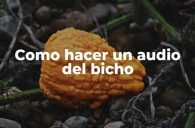 Como Hacer un Audio Del Bicho