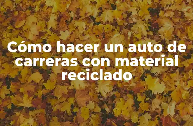 Cómo Hacer un Auto de Carreras con Material Reciclado