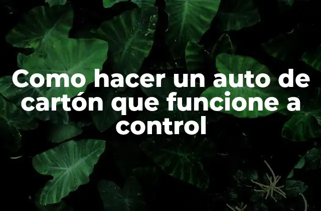 Como Hacer un Auto de Cartón que Funcione a Control