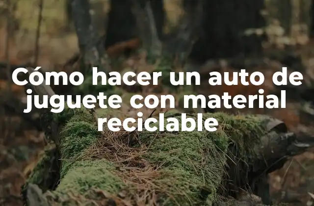 Cómo Hacer un Auto de Juguete con Material Reciclable