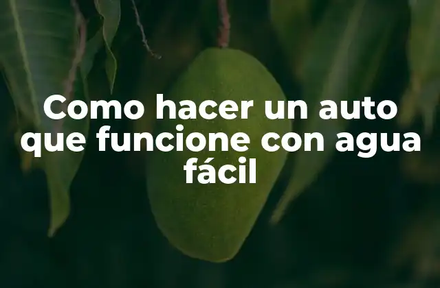 Como Hacer un Auto que Funcione con Agua Fácil