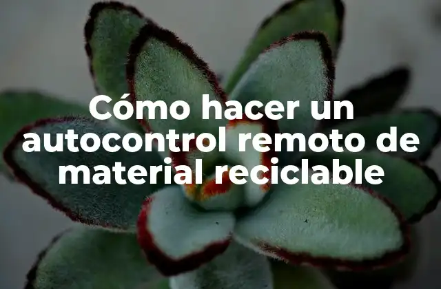 Cómo Hacer un Autocontrol Remoto de Material Reciclable