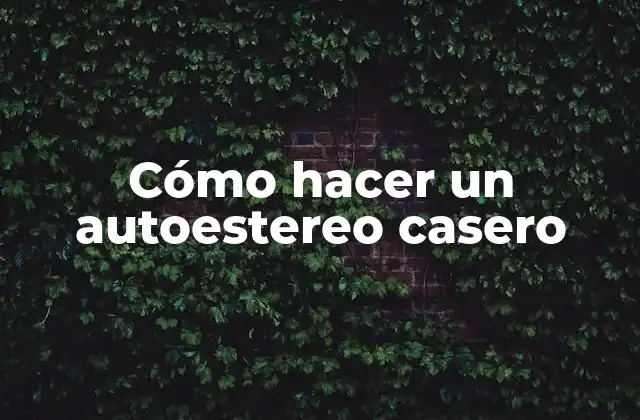 Cómo Hacer un Autoestereo Casero 2 Cómo hacer un autoestereo casero