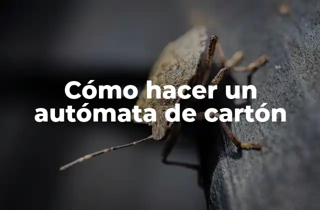 Cómo Hacer un Autómata de Cartón