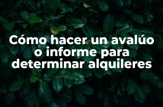 Cómo Hacer un Avalúo o Informe para Determinar Alquileres