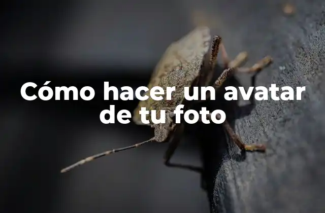 Cómo Hacer un Avatar de Tu Foto