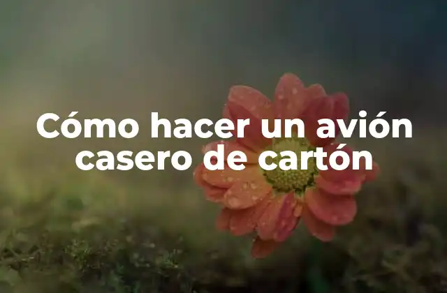 Cómo Hacer un Avión Casero de Cartón