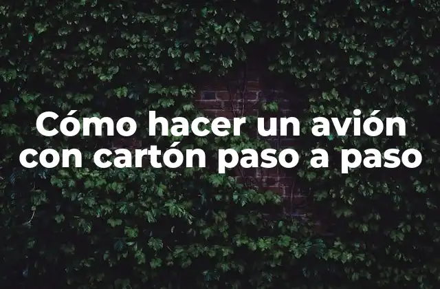 Cómo Hacer un Avión con Cartón Paso a Paso