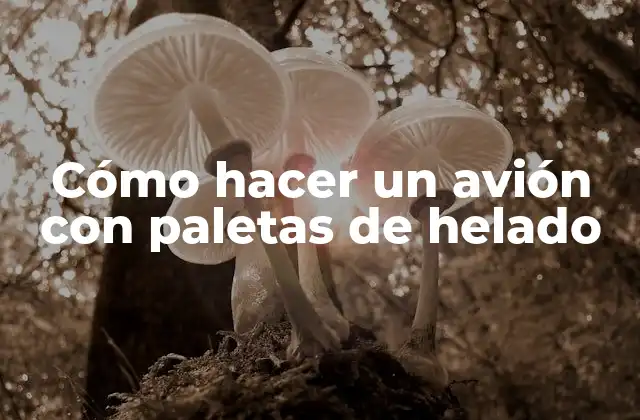 Cómo Hacer un Avión con Paletas de Helado