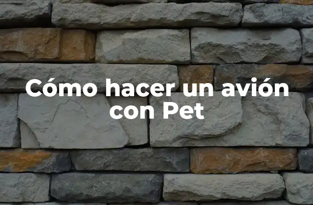 Cómo Hacer un Avión con Pet