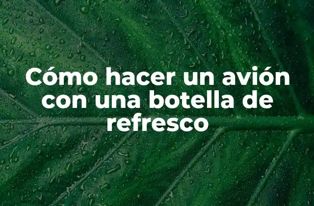 ¿Qué es un avión con una botella de refresco?