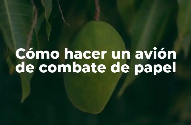 Cómo Hacer un Avión de Combate de Papel