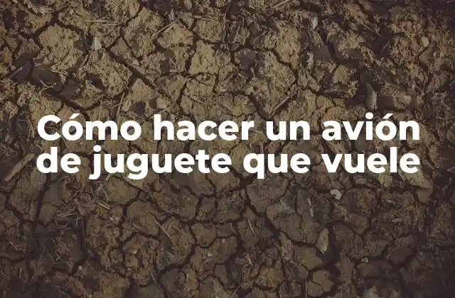 Cómo Hacer un Avión de Juguete que Vuele