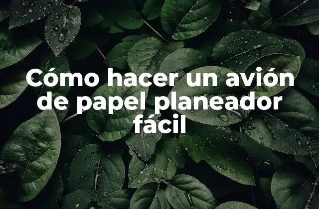 Cómo Hacer un Avión de Papel Planeador Fácil