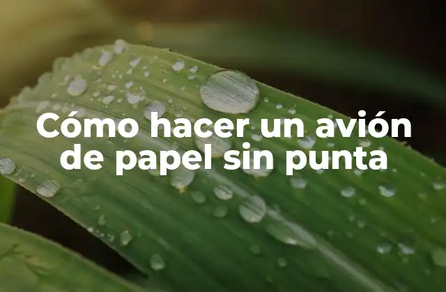 Cómo Hacer un Avión de Papel sin Punta