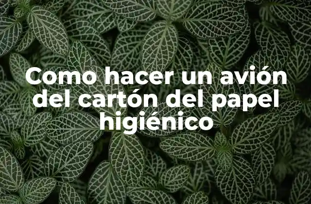 Como Hacer un Avión Del Cartón Del Papel Higiénico