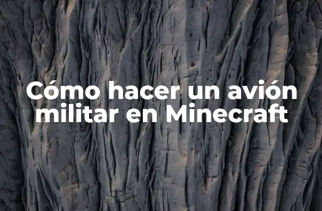 Cómo Hacer un Avión Militar en Minecraft