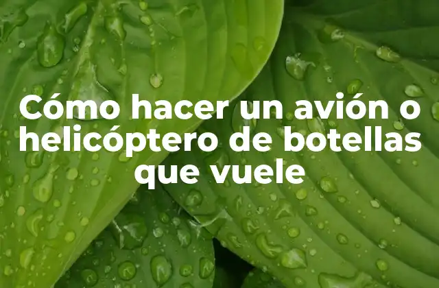 Cómo Hacer un Avión o Helicóptero de Botellas que Vuele