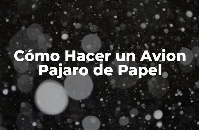 Cómo Hacer un Avion Pajaro de Papel
