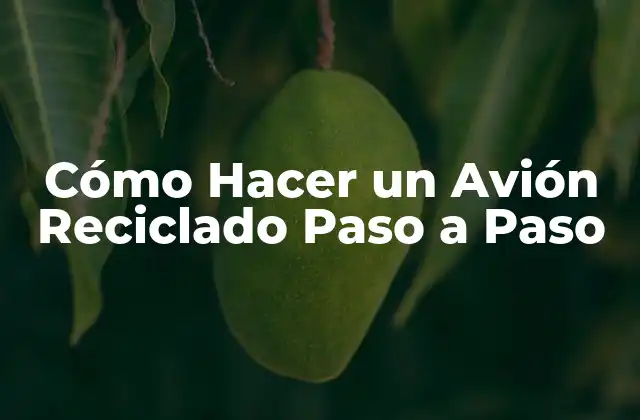 Cómo Hacer un Avión Reciclado Paso a Paso