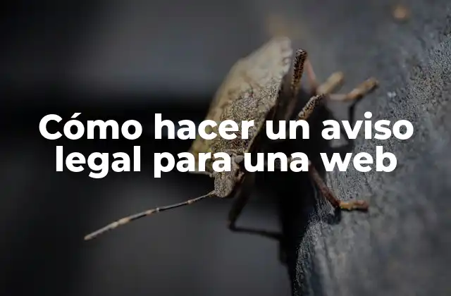 Cómo Hacer un Aviso Legal para una Web