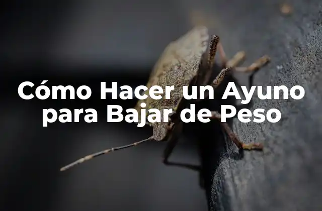 Cómo Hacer un Ayuno para Bajar de Peso