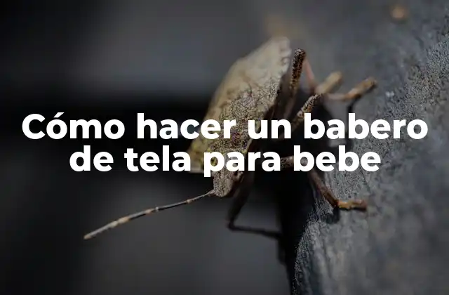 Cómo Hacer un Babero de Tela para Bebe