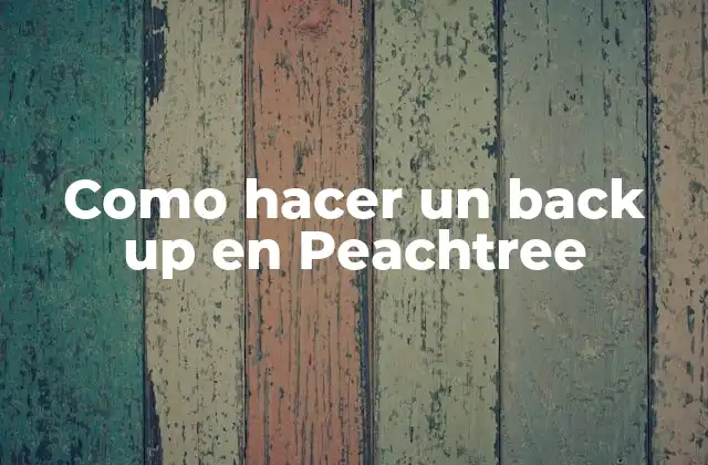 Como Hacer un Back Up en Peachtree