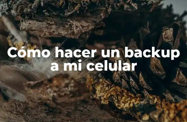 Cómo Hacer un Backup a Mi Celular