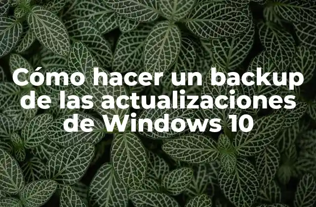 Cómo Hacer un Backup de las Actualizaciones de Windows 10