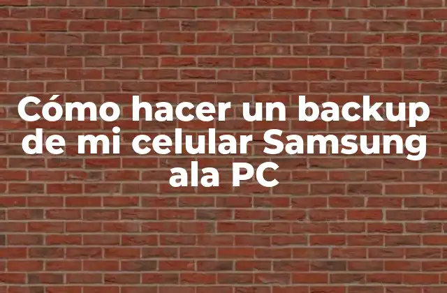 Cómo Hacer un Backup de Mi Celular Samsung Ala Pc