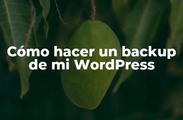 Cómo Hacer un Backup de Mi WordPress