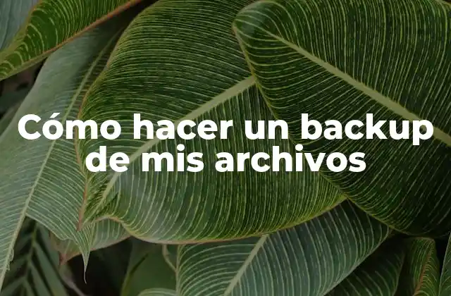 Cómo Hacer un Backup de Mis Archivos