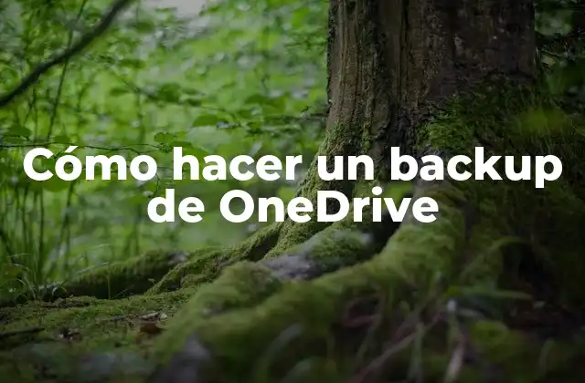 Cómo Hacer un Backup de Onedrive