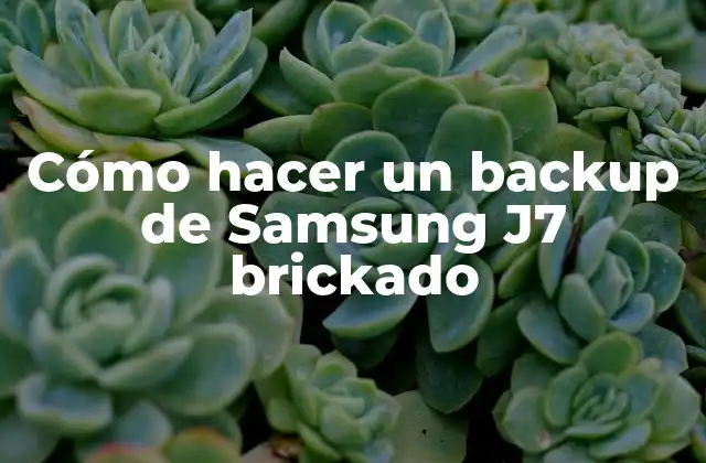 Cómo Hacer un Backup de Samsung J7 Brickado