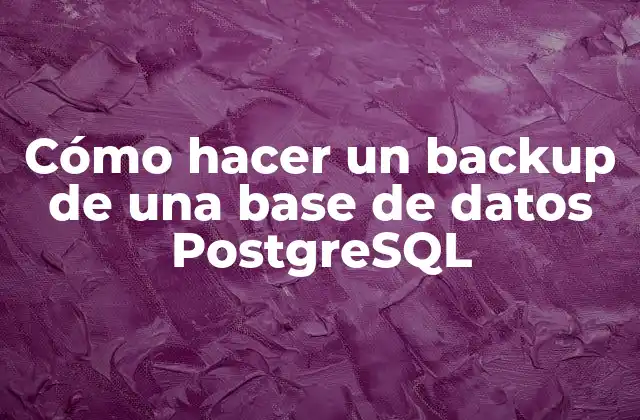 Cómo Hacer un Backup de una Base de Datos Postgresql