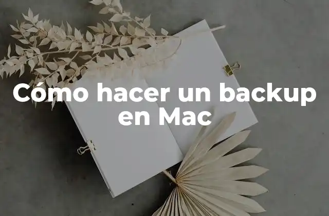 Cómo Hacer un Backup en Mac